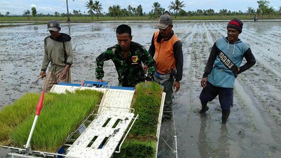 Danramil-Kapolsek Dua Pitue Turun Sawah