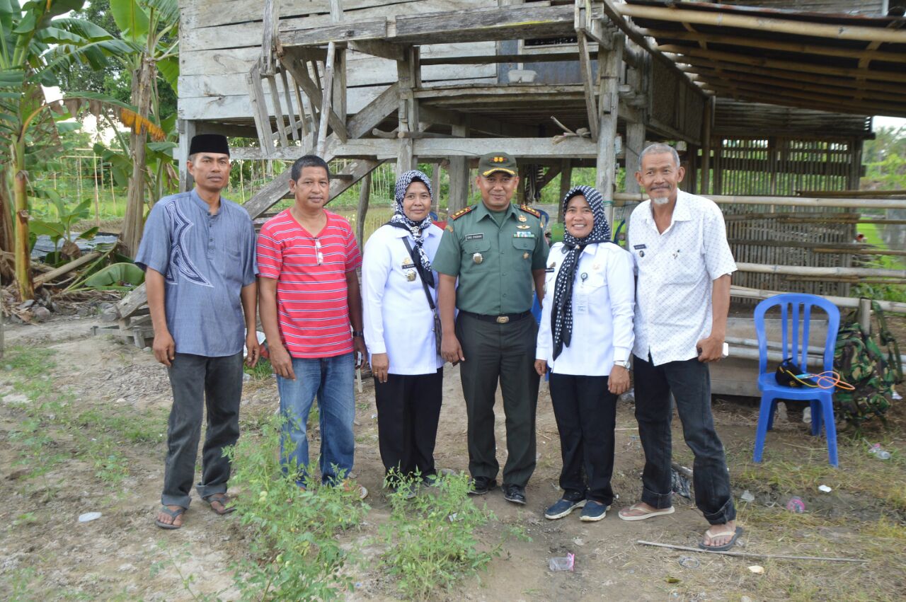 Dandim Sidrap Sebut Ini Waktu Tepat Tanam Serentak…