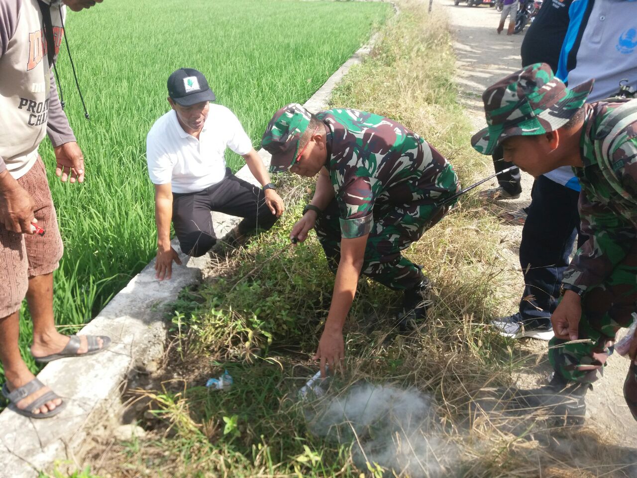 Musuh Petani, Dandim 1420 Nyatakan Perang pada Hama Pengerat