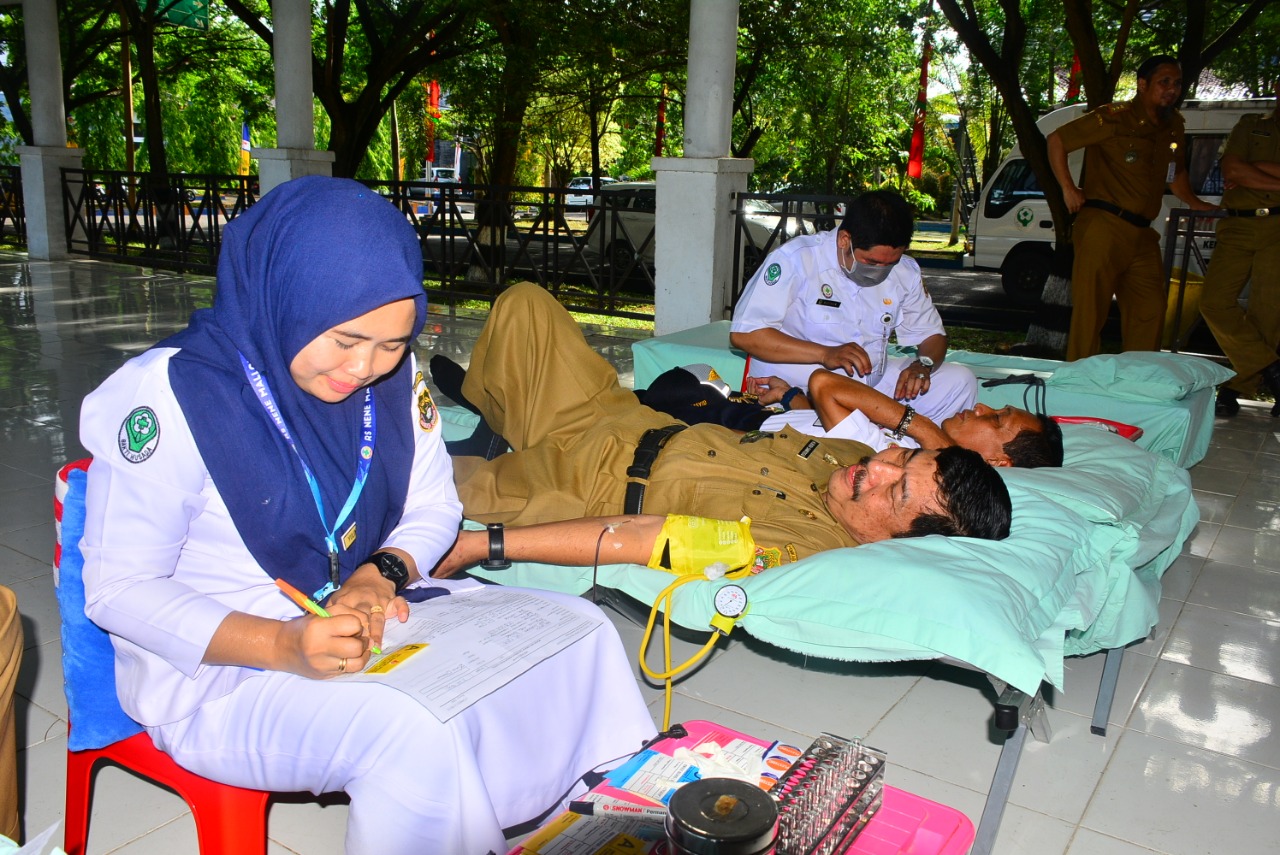 Warnai Hari Jadi Ke-675 Sidrap, Panitia Donor Kumpul 79 Kantong Darah