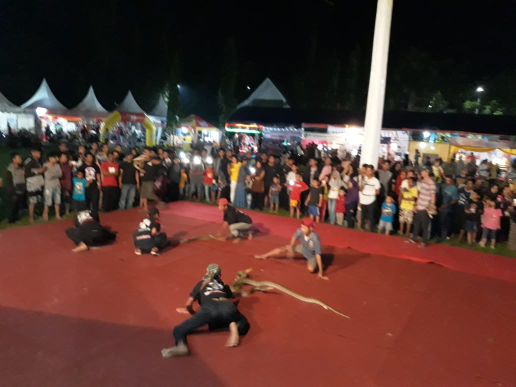 Malam Ini di Sidrap Expo 2019, Ada Persembahan Atraksi Barongsai dan Ular Piton