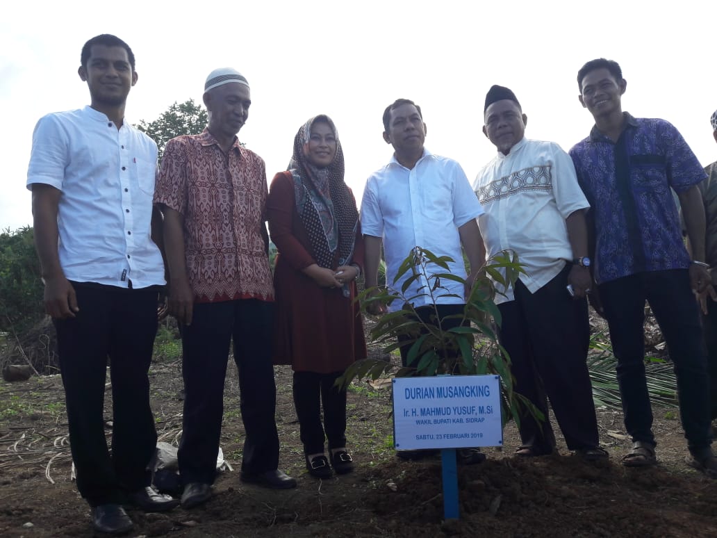 Camat Pitu Riase Dampingi Wabup Sidrap Tanam Durian di Belawae