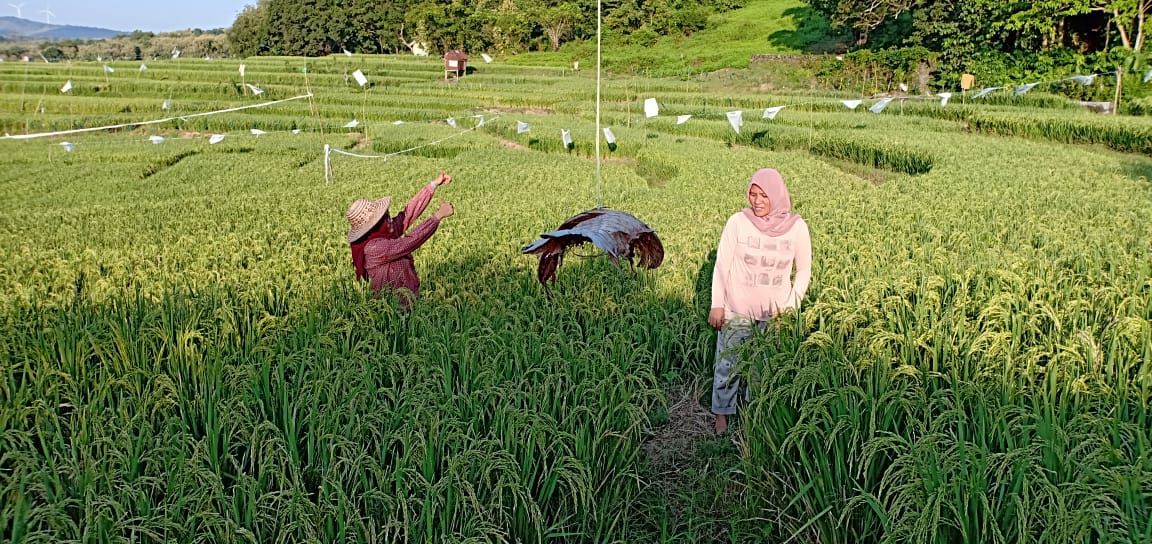 Nasarong Pilih Refreshing Bersama Konstituennya…