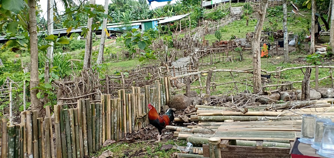 Kawasan MAREZO Siap Jadi Wisata Kuliner