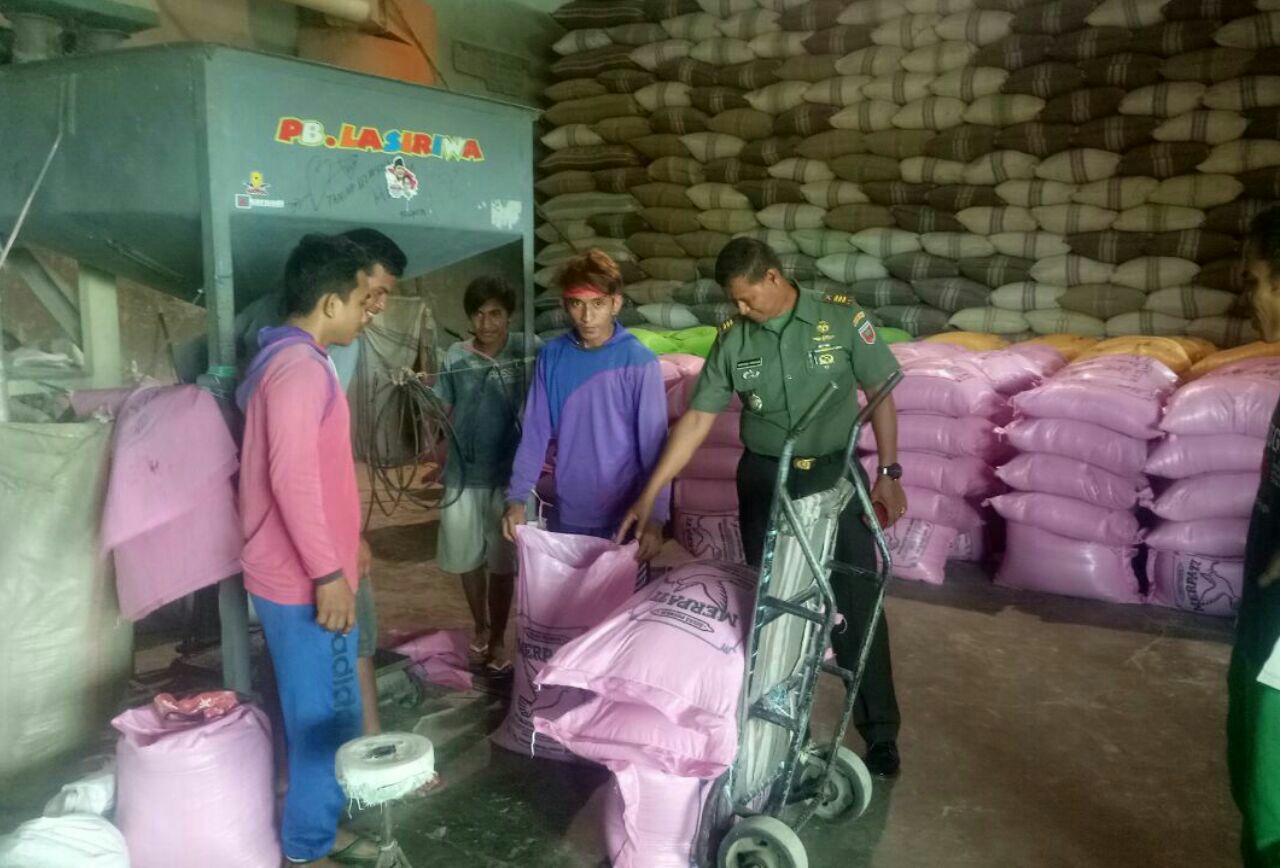 Penuhi Target 40 Ribu Ton, Kodim 1420 Sidrap Bantu Bulog Serap Gabah Petani