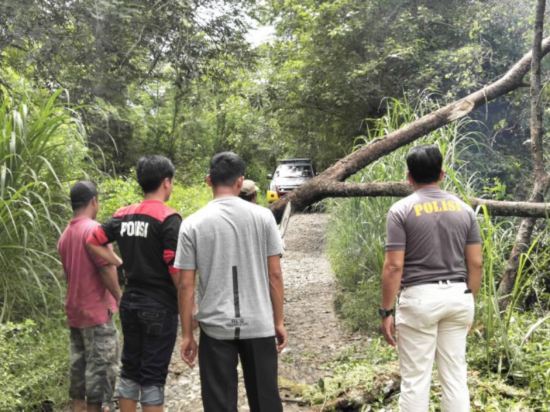 Polsek Malua Evakuasi Pohon Tumbang Yang Menutupi Akses Jalan Desa