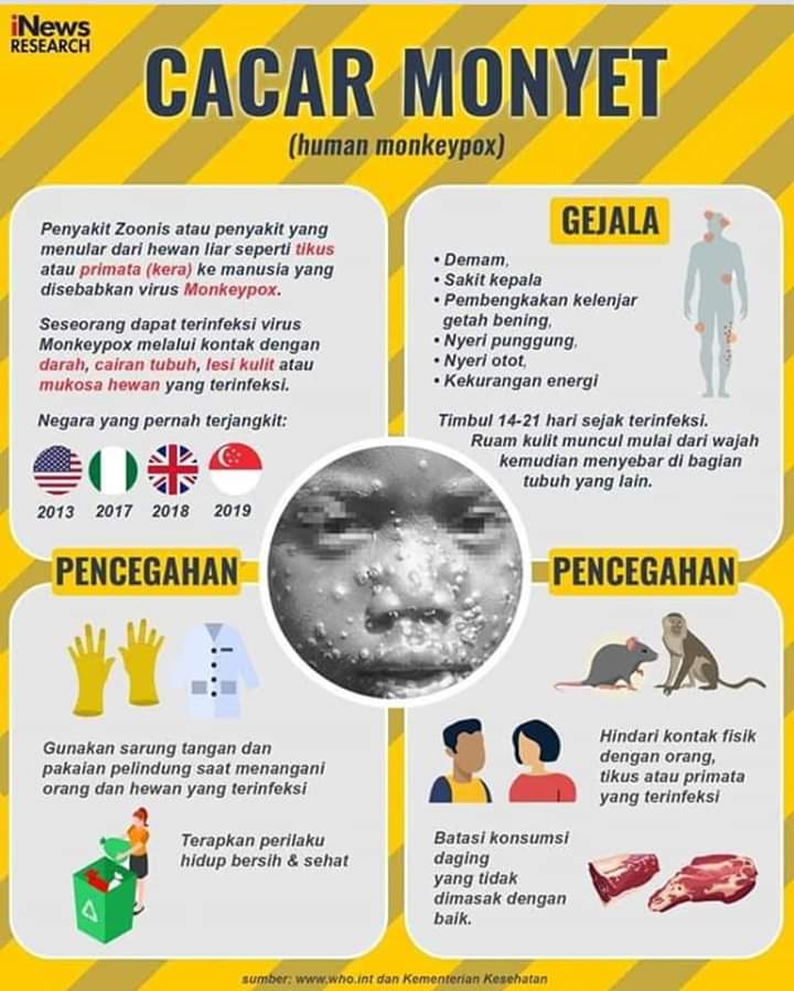 Sosialisasikan Penyakit Mongkeypos, Ini yang Dilakukan Dinkes Pinrang