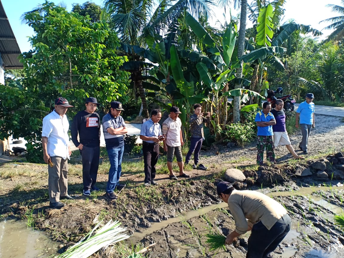 Bupati Pantau Penanaman Perdana Bantuan ICDF dan Unhas