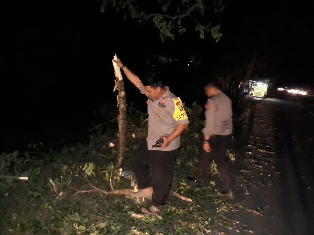 Kapolsek Ma’rang Bersama Anggotanya Turun Bersihkan Pohon Tumbang