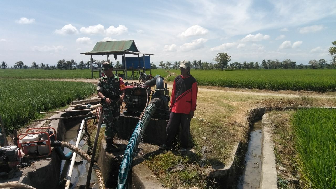 Guna Menjamin Hasil Produksi Pertanian, Babinsa jajaran Kodim 1420 Pantau Pompanisasi Petani