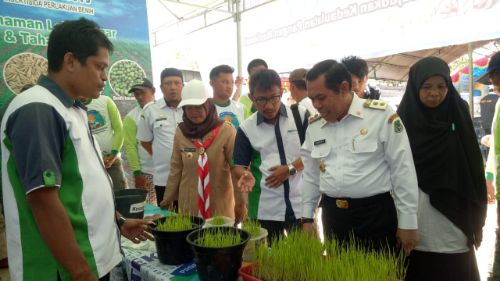 Tampilkan Tehnologi Pertanian. Wabup Sidrap Kunjungi Pasar Teknologi Advansia