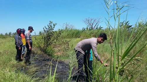 Lahan Persawahan Terbakar, Kapolsek Mandalle Lakukan Langkah Tanggap