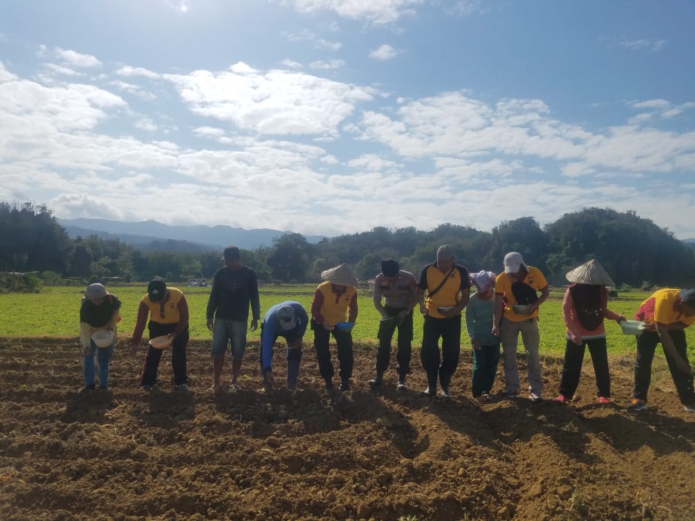 Begini Cara Kapolsek Tondong Tallasa Bersama Warga Tanam Jagung Perdana Di Area Persawahan