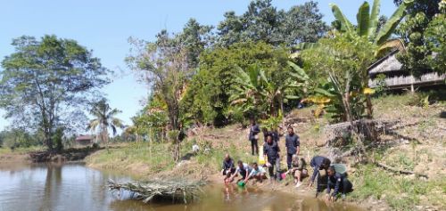 Hebat, Karang Taruna Wajo Restocking 1.000 Benih Ikan di Keera