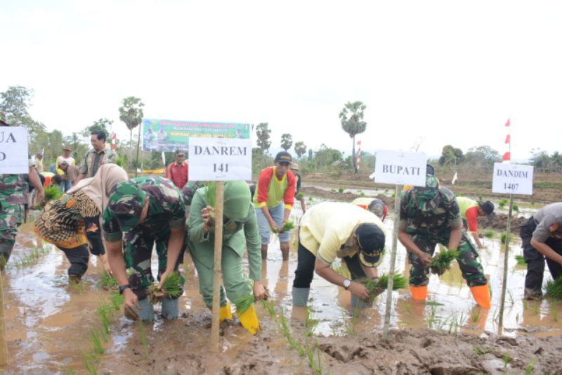 Demi Peningkatan Pertanian, Danrem 141 Toddopuli Rela Turun Sawah Menanam