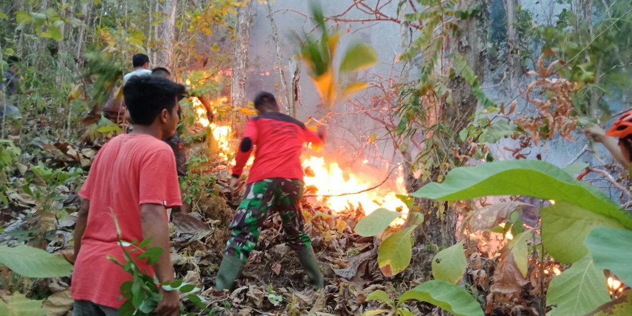 Lereng Gunung Lewaja Enrekang Terbakar