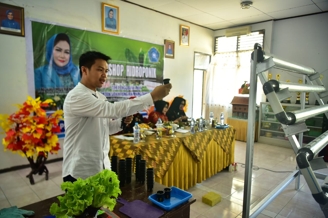 Puluhan Kader PKK Sidrap Ikuti Workshop Hidroponik