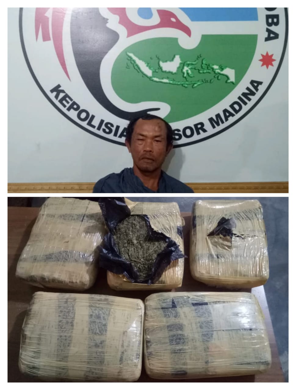 Kedapatan Bawa Ganja 5 Kg, Seorang Tersangka Diamankan SatNarkoba Polres Mandailing Natal