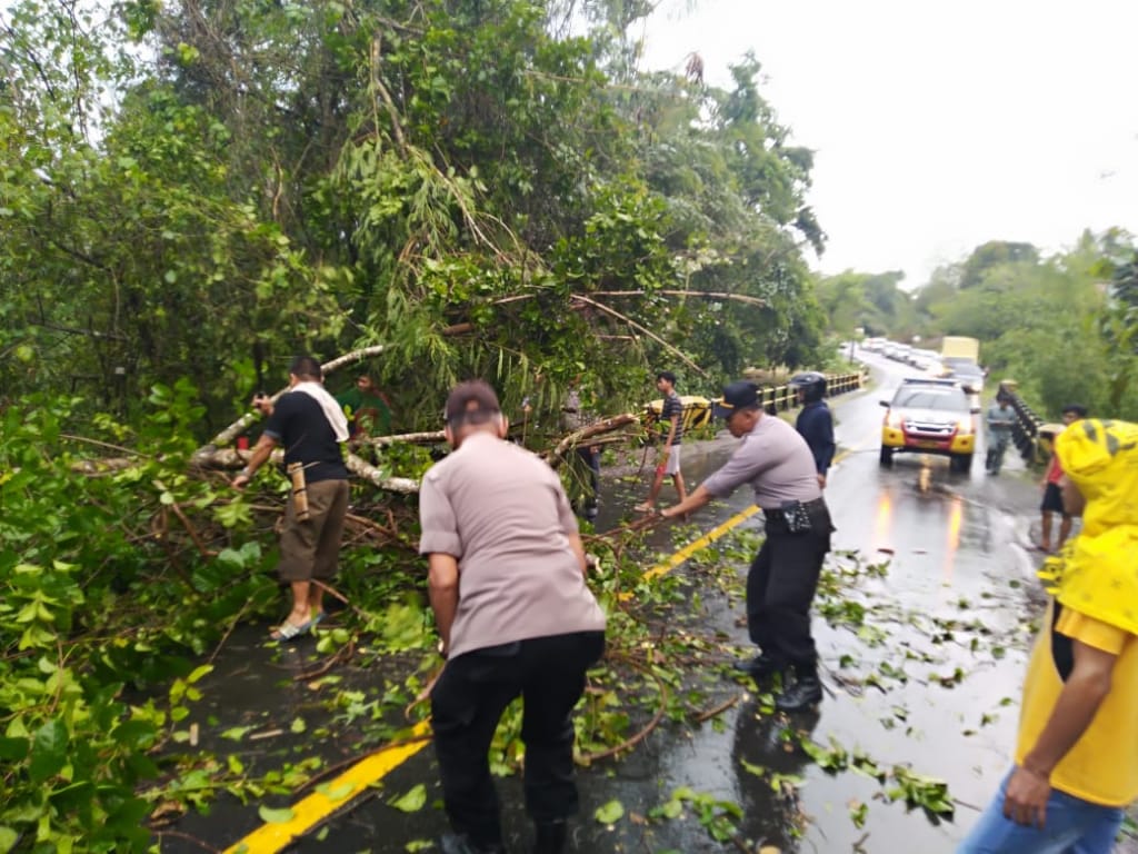 Kapolsek Cendana dan Kapolsek Maiwa bersama Warga Mengevakuasi Pohon Tumbang