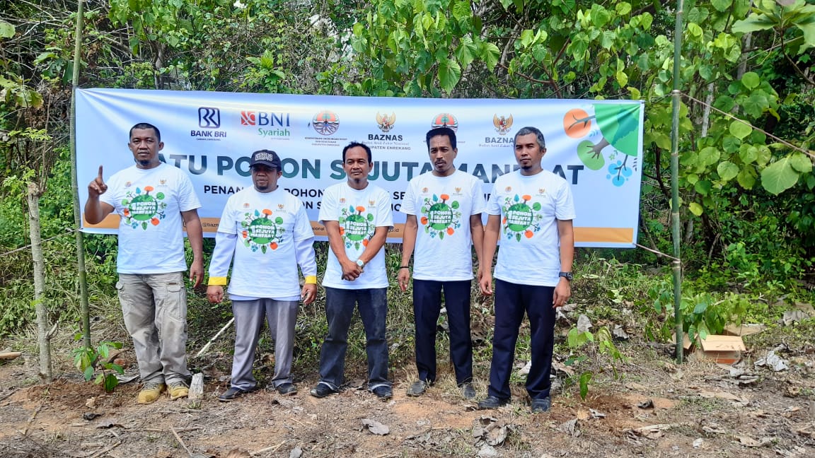 Tanam 150 Pohon Cara Baznas Enrekang Lestarian Lingkungan