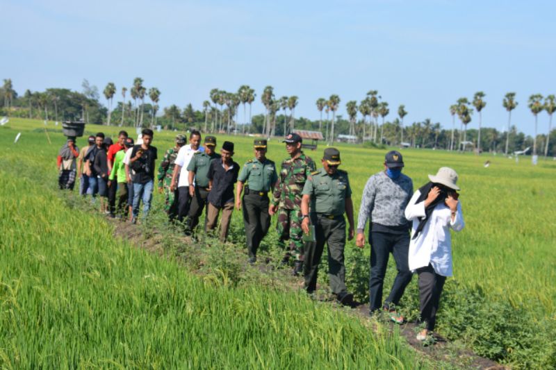 Tim Pengawas Cetak Sawah Mabesad TNI Bertandang Ke Bone. Ini Tujuannya…