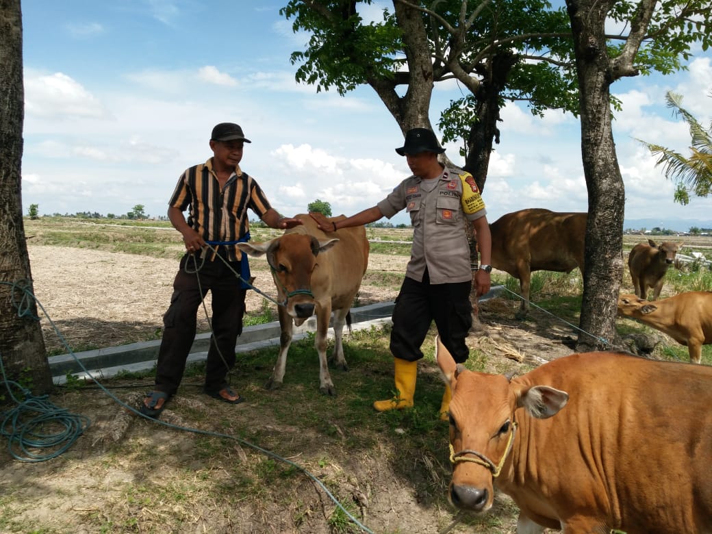 Cegah Aksi Curnak Di Wilayah Binaannya, Aipda As’Ad Intens Temui Peternak Sapi