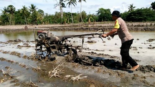 Turun Membajak Sawah Bareng Petani Cara Bhabinkamtibmas Ini Bina Kemitraan