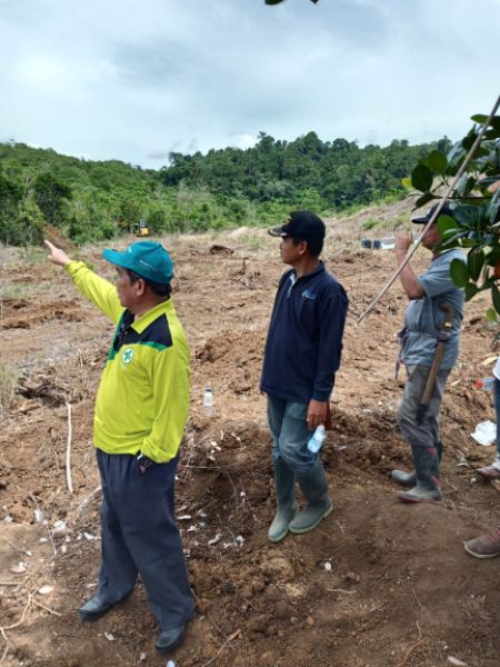 Bupati Sidrap Bakal Sulap Kebun Induk Barukku Jadi Percontohan Objek Agrowisata