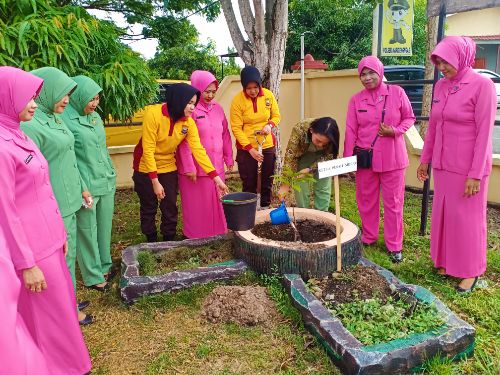 Ajak Forkopimda Tanam Seribu Pohon di Sidrap Cara Kapolres Peduli Lingkungan