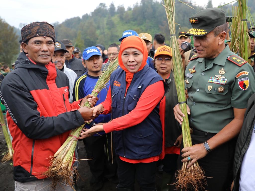 Khofifah Bersama Pangdam V Brawijaya Lakukan Gerakan Tanam Vetiver di Lereng Semeru