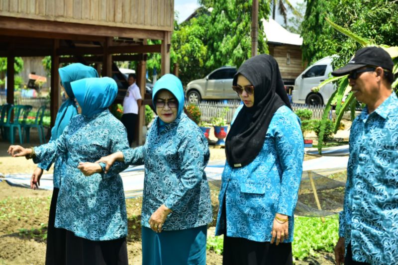 Manfaatkan Lahan Pekarangam Rumah, Pengurus PKK Sidrap Ajarin Emak-emak Budidayakan Tanaman Toga