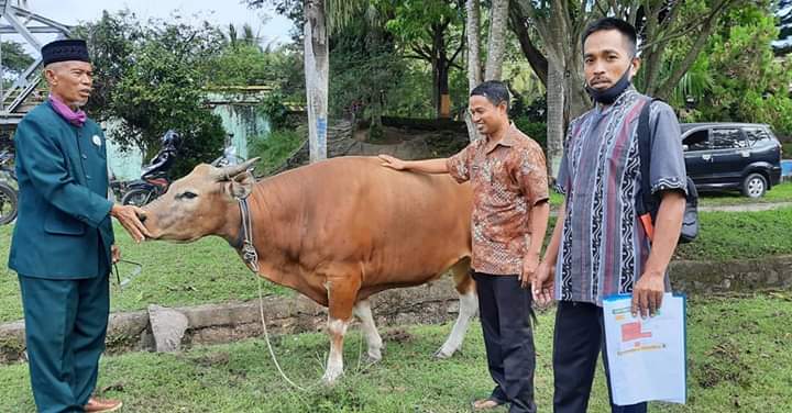 Baznas Enrekang Siapkan TPH Qurban Berstandar Protokol Covid-19