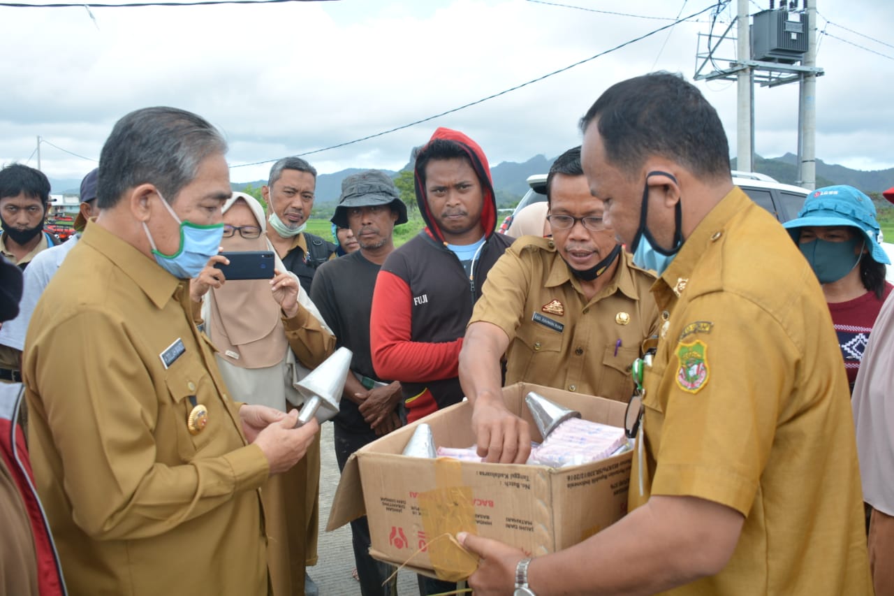 Dollah Mando Turun Sawah Di Rijang Pittu, Hama Pengerat Mulai Dibasmi Petani