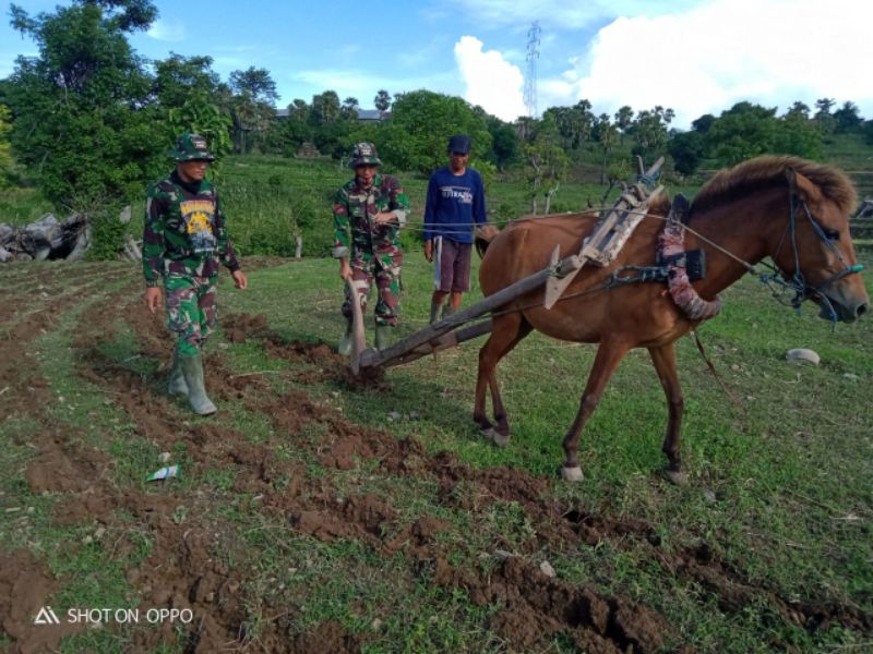 Satgas TMMD ke-108 Kodim Jeneponto Peduli terhadap Petani