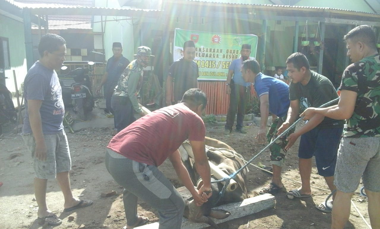 Anggota Kodim Selayar Sembelih 4 Hewan Kurban Di Hari Raya Idul Adha