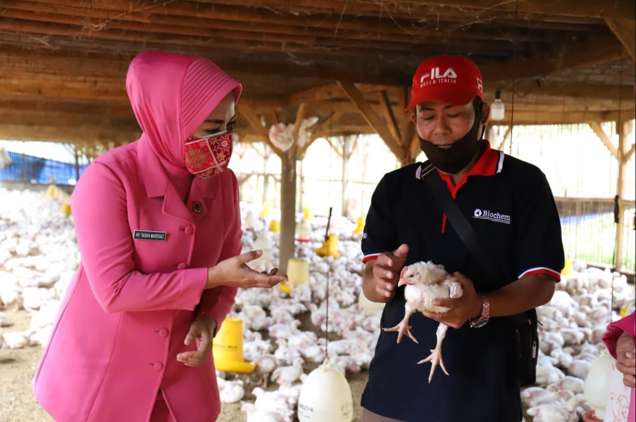 Dukung Ketahanan Pangan, Bhayangkari Setukpa Lemdiklat Polri Panen Ternak Unggas