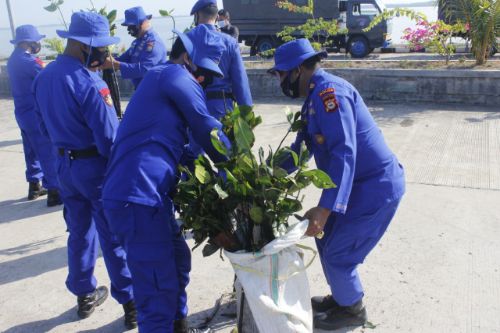 Peduli Lingkungan, Polairud Polda Sulsel Tanam Pohon Mangrove di Titik Ini