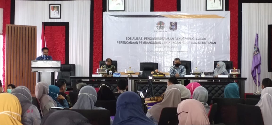 Pemkab Enrekang dan Kementerian LHK Gelar Sosialisasi Pengarusutamaan Gender