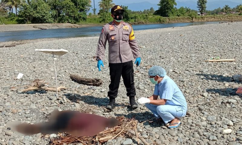 Saksi Cium Bau Tajam Menyengat, Ternyata Bangkai Ini Bikin Geger Warga