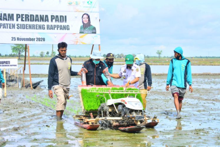 Di BPP Sereang, Bupati Sidrap dan Dirut Petrokimia Kayaku Tanam Perdana