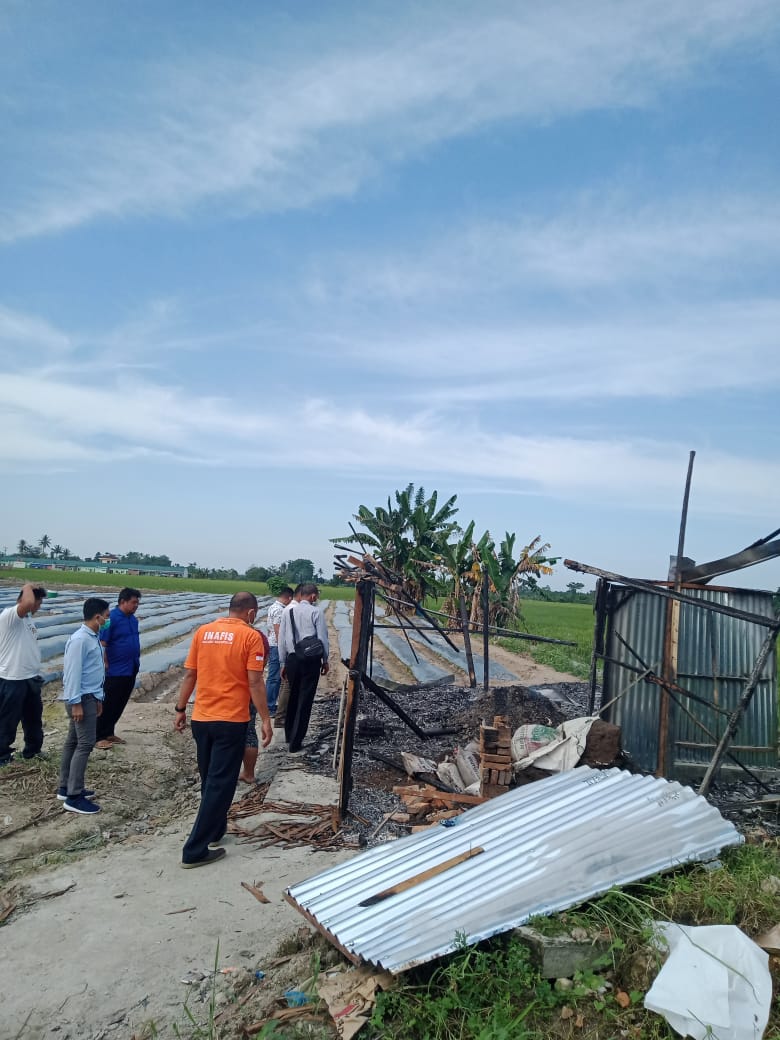 Petani Diteror OTK, Gudang Pupuk Ludes Dibakar