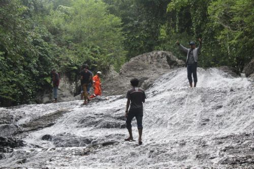 Desa Tapong Enrekang Berpotensi Jadi Destinasi Agrowisata Buah