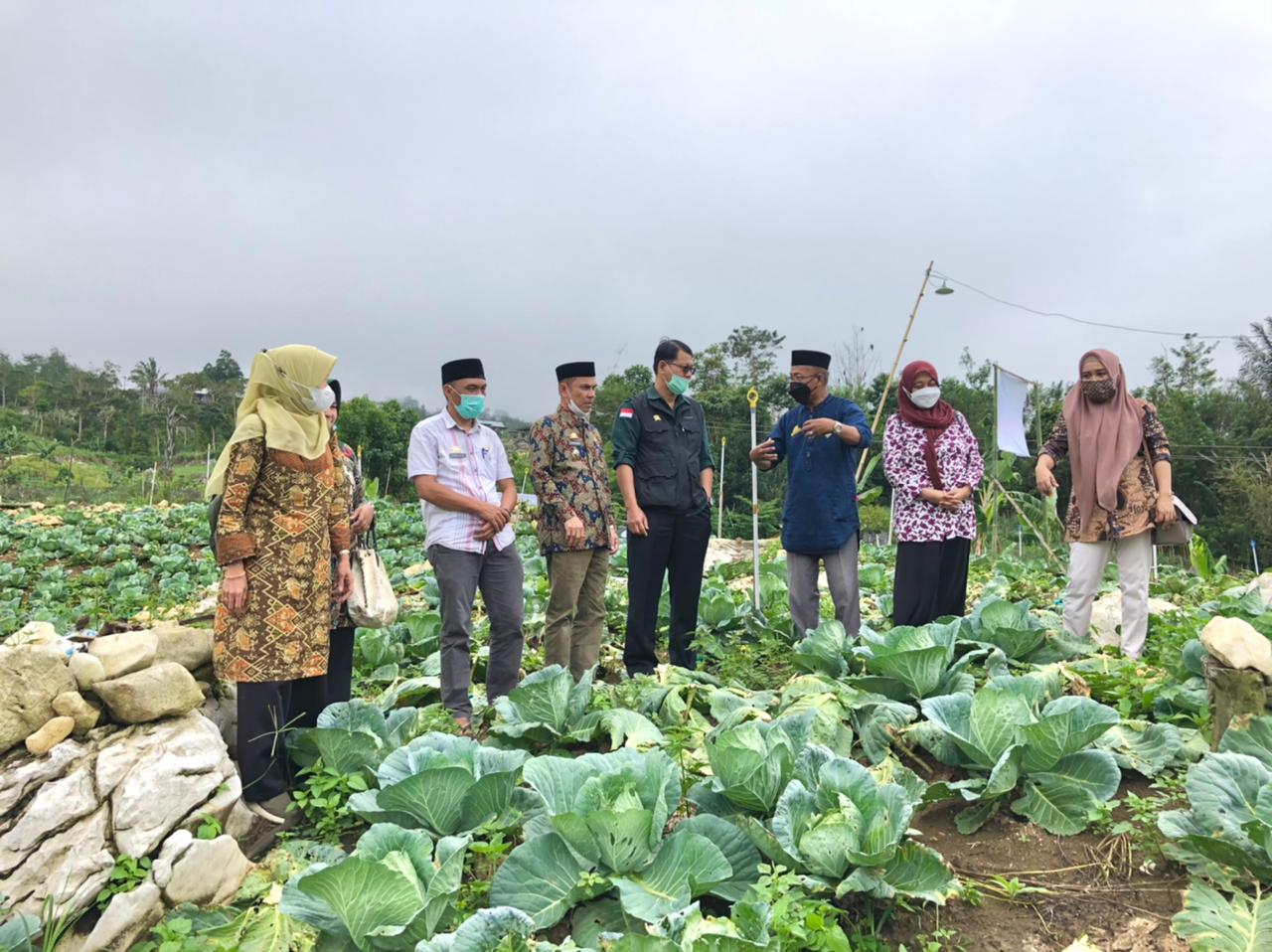 Kunjungan Kepala Pusat KKP BKP, Pemkab Enrekang Siap Support Program Kementan