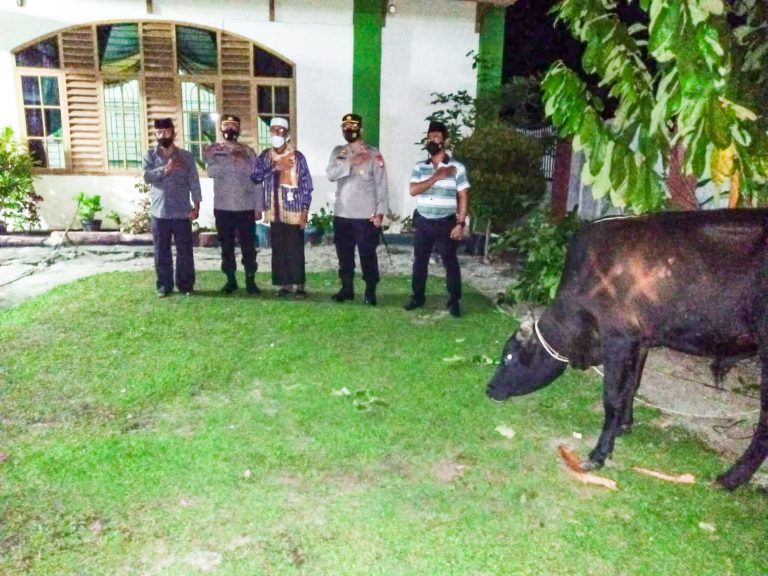 Kapolres Simalungun Serahkan Bantuan Hewan Qurban Kapolda Sumut Kepada Ketua MUI