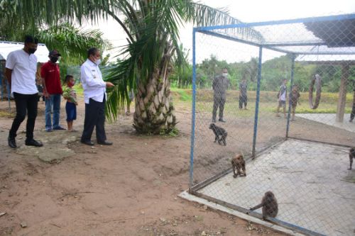 Di Bulo Wattang, Wisata Kebun Binatang Hadir di Kabupaten Sidrap