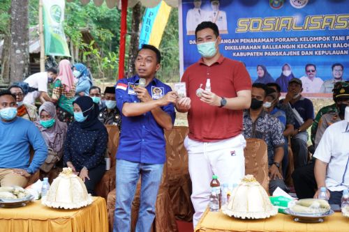 Bersama Bupati Pangkep, H.Syahar Gelar Sosialisasi Budidaya Tanaman Porang