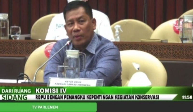 Asgarin Komitmen Kembangkan Gaharu Papua 