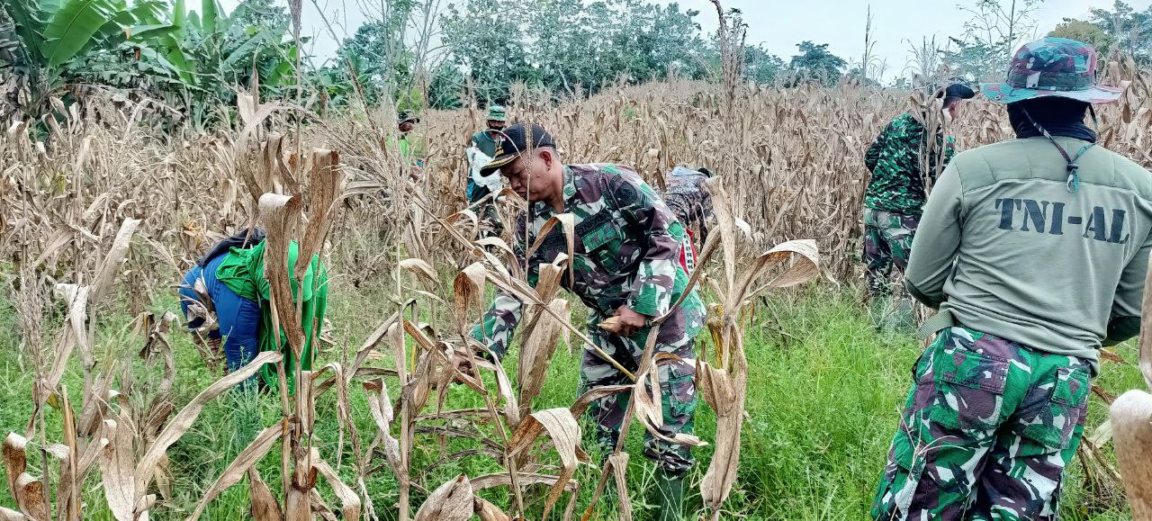 Satgas TMMD Bantu Warga dan Belajar Bercocok Tanam Yang Baik di Gunung