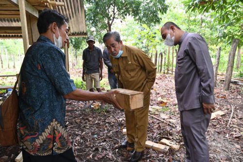 Bupati Gandeng Lektor Kepala Fakultas Kehutanan Unhas