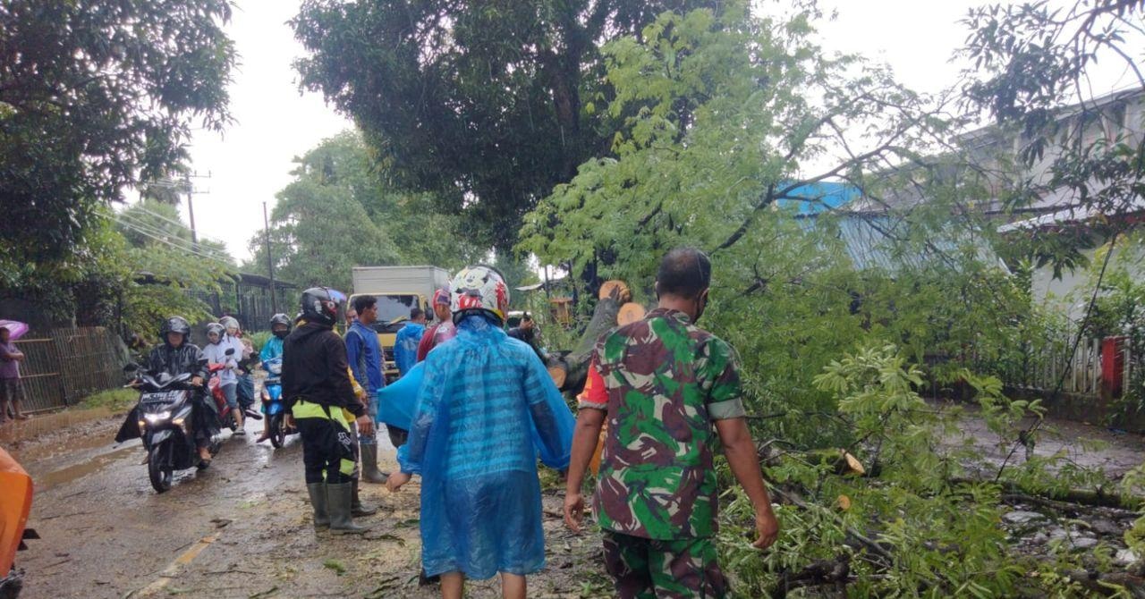 Pohon Tumbang Putus Akses Poros Takalar – Makassar